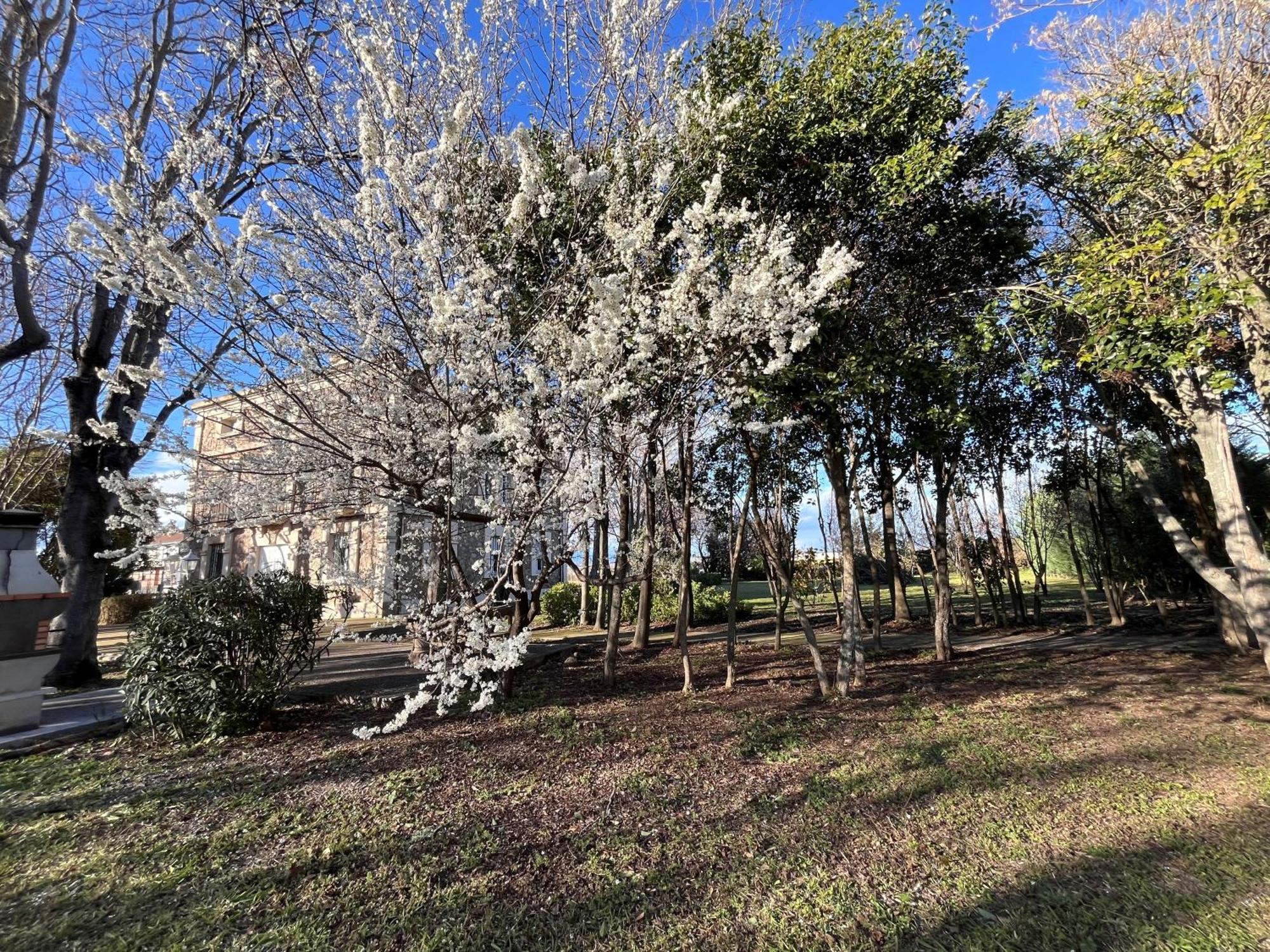Villa Merenciana Agoncillo Exterior foto